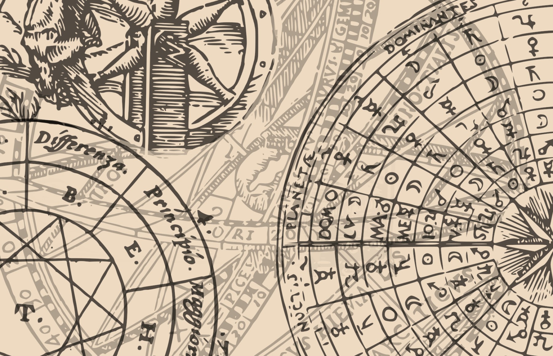 C Project Nicholas Cornia wois