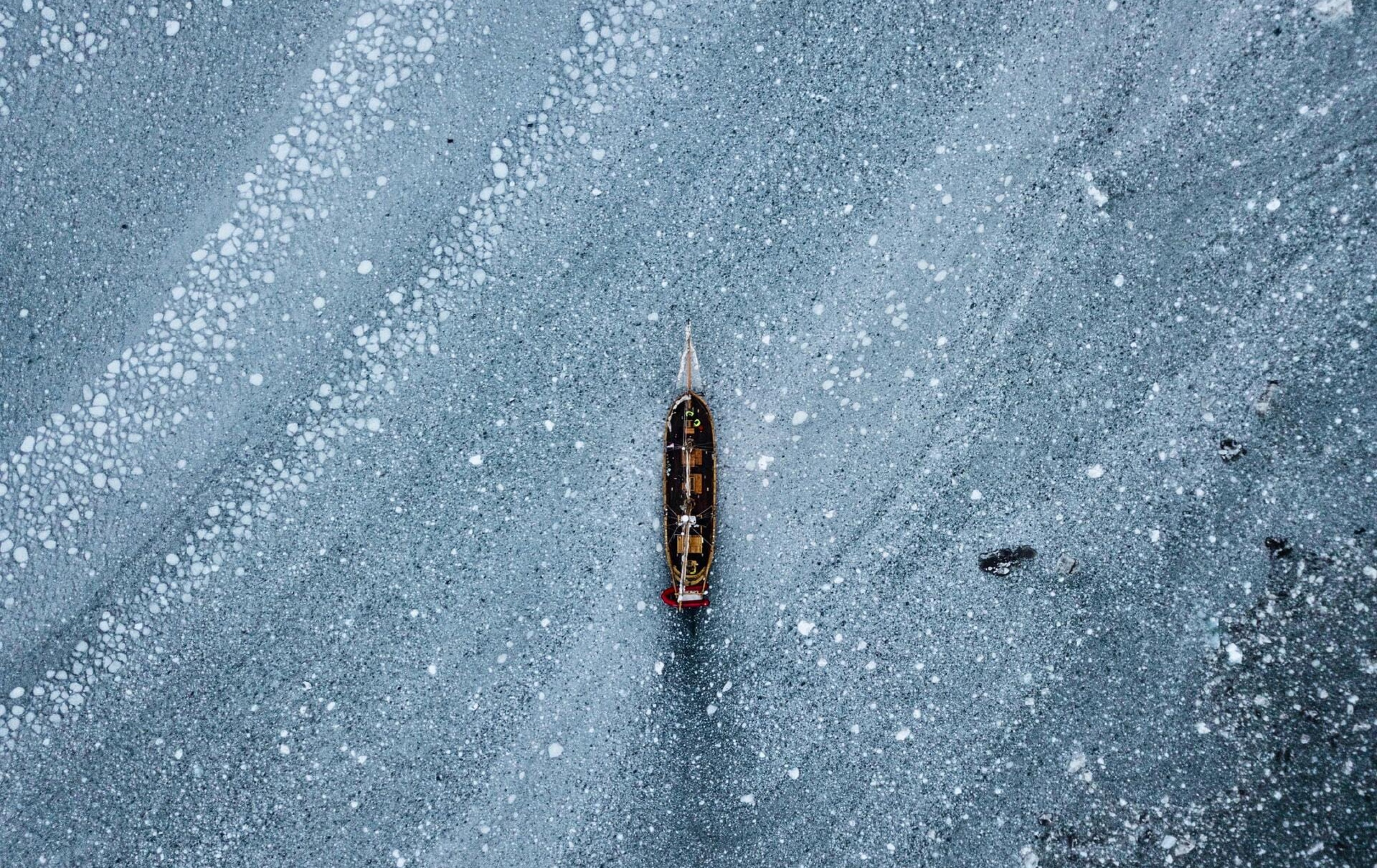 Dylan Shaw Y95Dsvljnls Unsplash