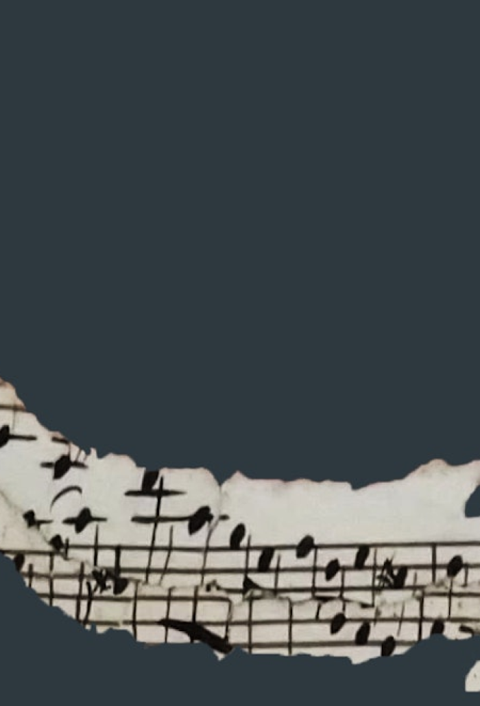 C P SONUS Carlo Diaz