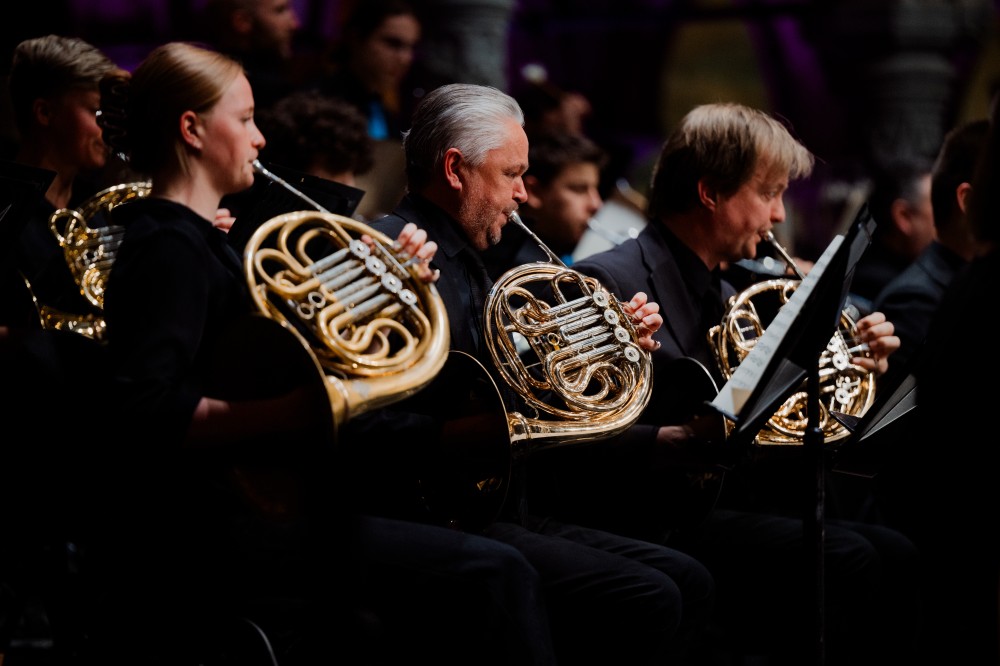 Hoorn auditie