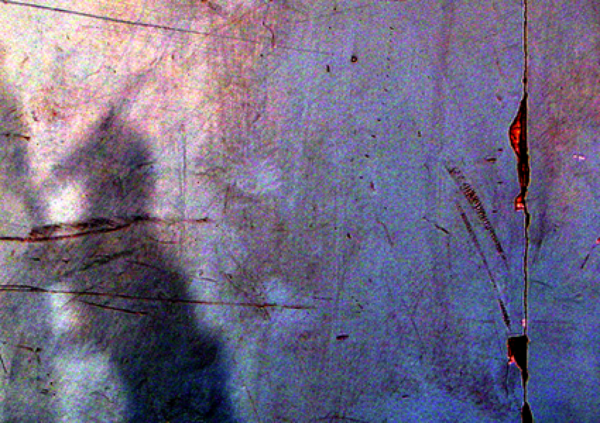 BLOG | Ans De Bremme (anoniem)